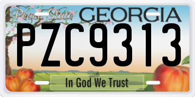 GA license plate PZC9313