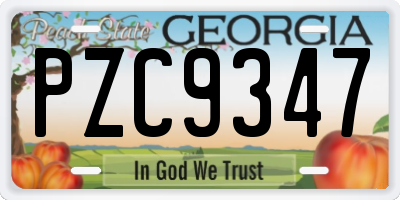 GA license plate PZC9347