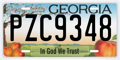 GA license plate PZC9348