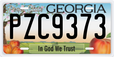 GA license plate PZC9373