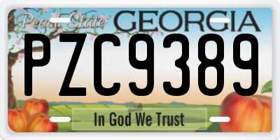 GA license plate PZC9389