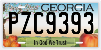 GA license plate PZC9393