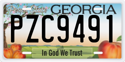 GA license plate PZC9491