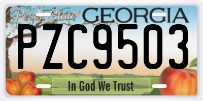 GA license plate PZC9503