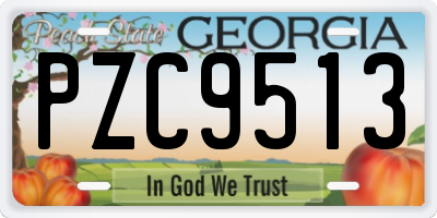 GA license plate PZC9513