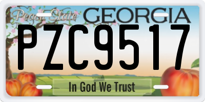 GA license plate PZC9517