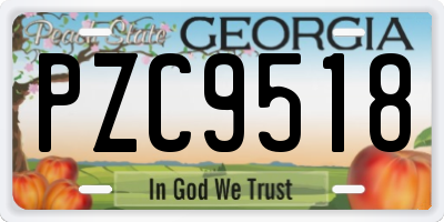 GA license plate PZC9518
