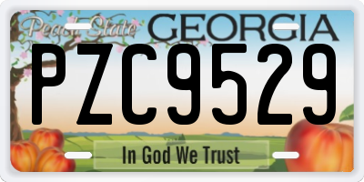 GA license plate PZC9529