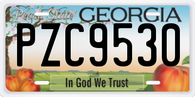 GA license plate PZC9530