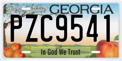 GA license plate PZC9541