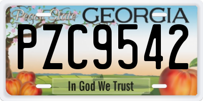 GA license plate PZC9542