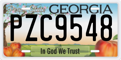 GA license plate PZC9548
