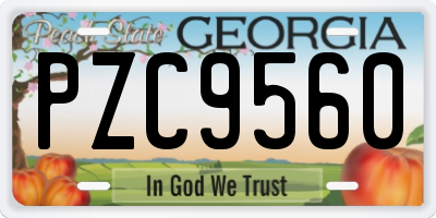 GA license plate PZC9560