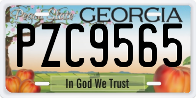 GA license plate PZC9565