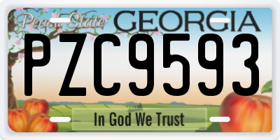 GA license plate PZC9593