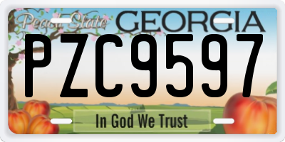 GA license plate PZC9597