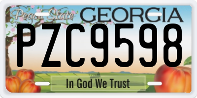 GA license plate PZC9598