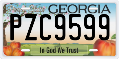 GA license plate PZC9599