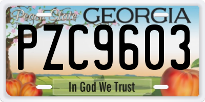 GA license plate PZC9603