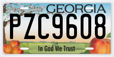 GA license plate PZC9608