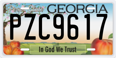 GA license plate PZC9617