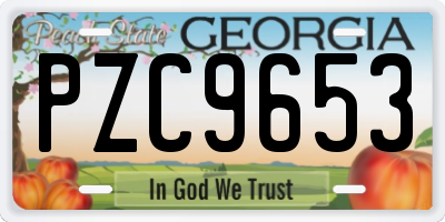 GA license plate PZC9653