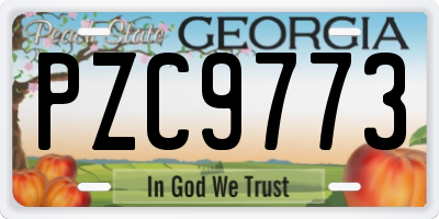 GA license plate PZC9773