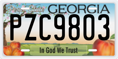GA license plate PZC9803