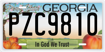 GA license plate PZC9810