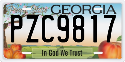 GA license plate PZC9817