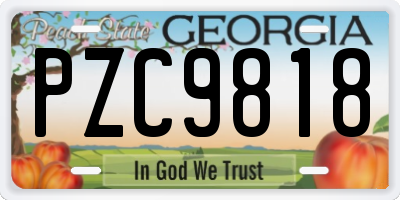 GA license plate PZC9818