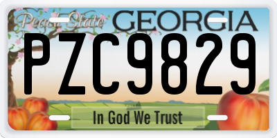 GA license plate PZC9829