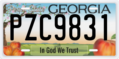 GA license plate PZC9831