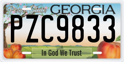 GA license plate PZC9833