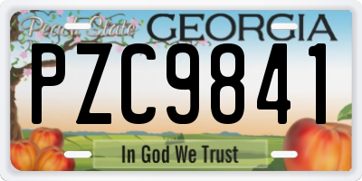 GA license plate PZC9841