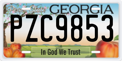 GA license plate PZC9853