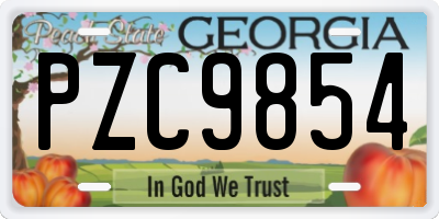 GA license plate PZC9854