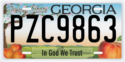 GA license plate PZC9863