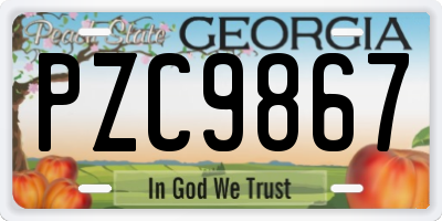 GA license plate PZC9867