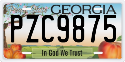 GA license plate PZC9875