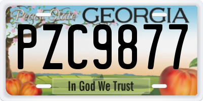 GA license plate PZC9877
