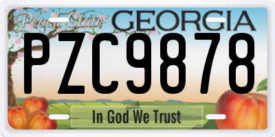 GA license plate PZC9878