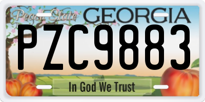 GA license plate PZC9883