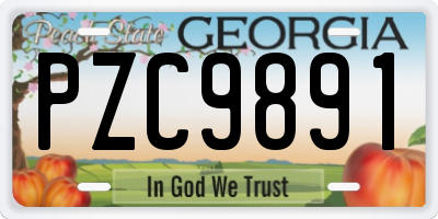 GA license plate PZC9891