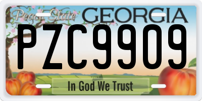 GA license plate PZC9909