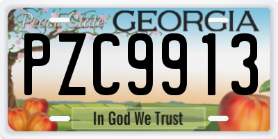 GA license plate PZC9913