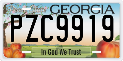 GA license plate PZC9919