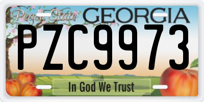 GA license plate PZC9973