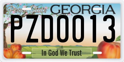 GA license plate PZD0013