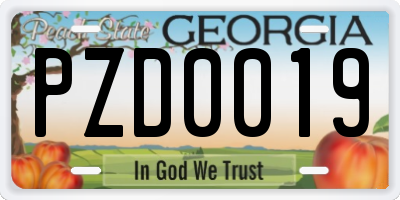 GA license plate PZD0019